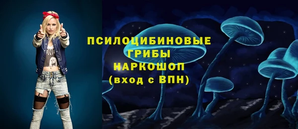 2c-b Пересвет