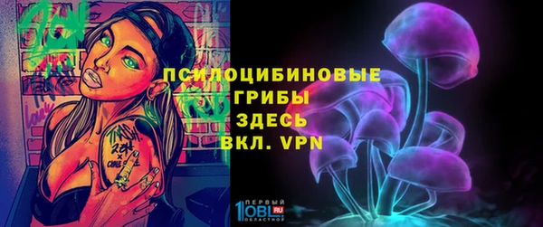2c-b Пересвет